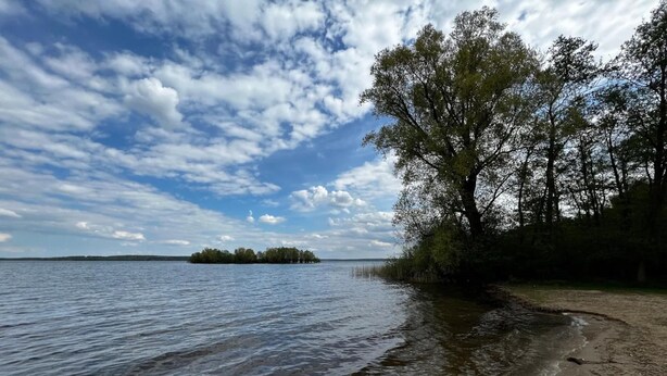 Un lago tranquilo con una playa arenosa y una orilla bordeada de árboles.