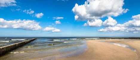 House | View from property