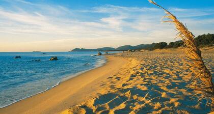 Apartment on Costa Rei Near Sandy Beach