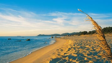 Căn hộ | Bãi biển | Trên bãi biển