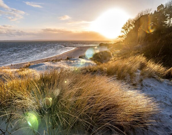 View from property - Ferienwohnung, Wyk auf Foehr (Wyk auf Foehr)