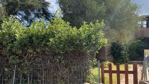 A wooden gate with a sign labeled "102" in front of a dense hedge. - Apartment in Porto Pollo Near Surf Paradise (Palau)