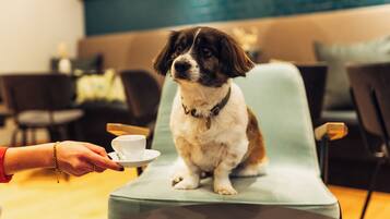 Thân thiện với vật nuôi