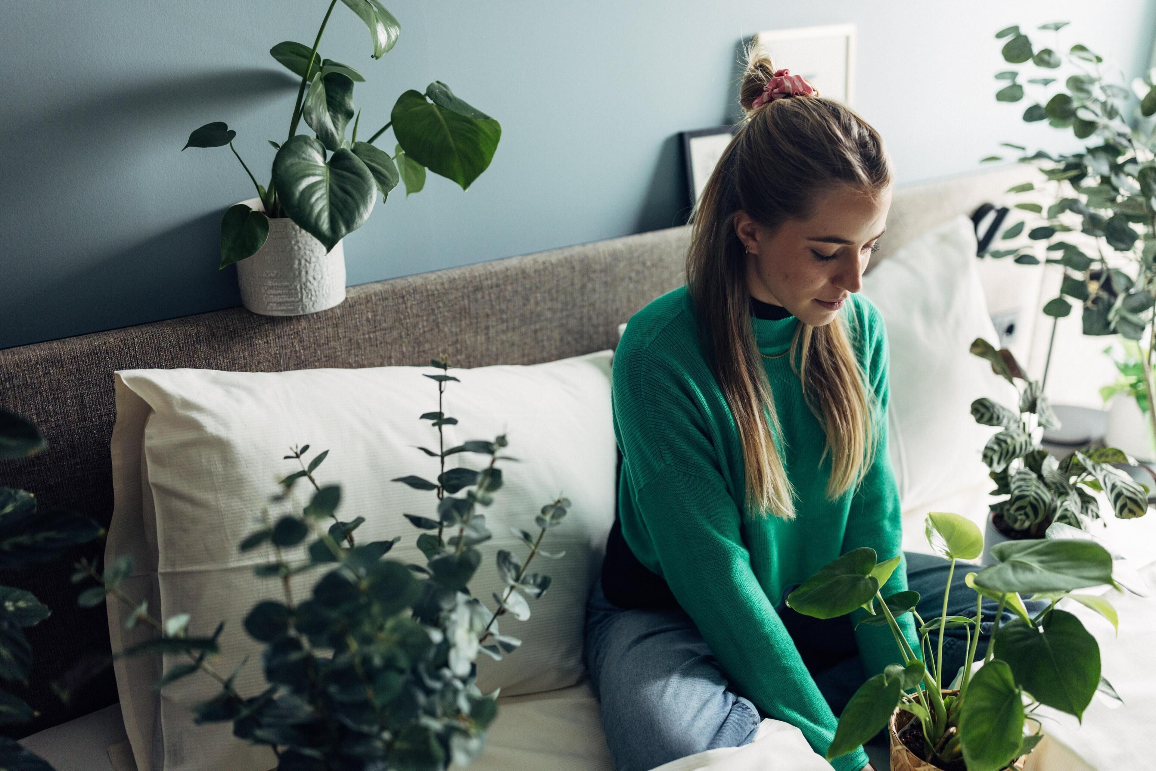 A person sitting on a sofa with a plant on their lap.