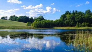 A calm lake with reflections of the sky and trees, surrounded by lush greenery and a wooden dock. - Apartment in a Fantastic Location Just 20 m From Lake Boruja in Rekowo (Bytow)