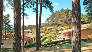 A residential area with multiple houses surrounded by tall trees.