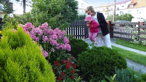 A residential garden with a variety of plants and a wooden fence. - Apartment in Swinoujscie Near Baltic Beach (Swinoujscie)