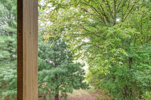 Unclassified image, 3 of 36, button