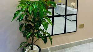 A hallway with a potted plant, a wall-mounted light fixture, and a large mirror reflecting a room with a bed and a TV. - Luxury One Bedroom Apartment Kampala Uganda. (Kampala)