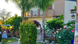 Unclassified image, 5 of 31, button - Sicilian Poolside Escape for 6 (Francavilla di Sicilia)