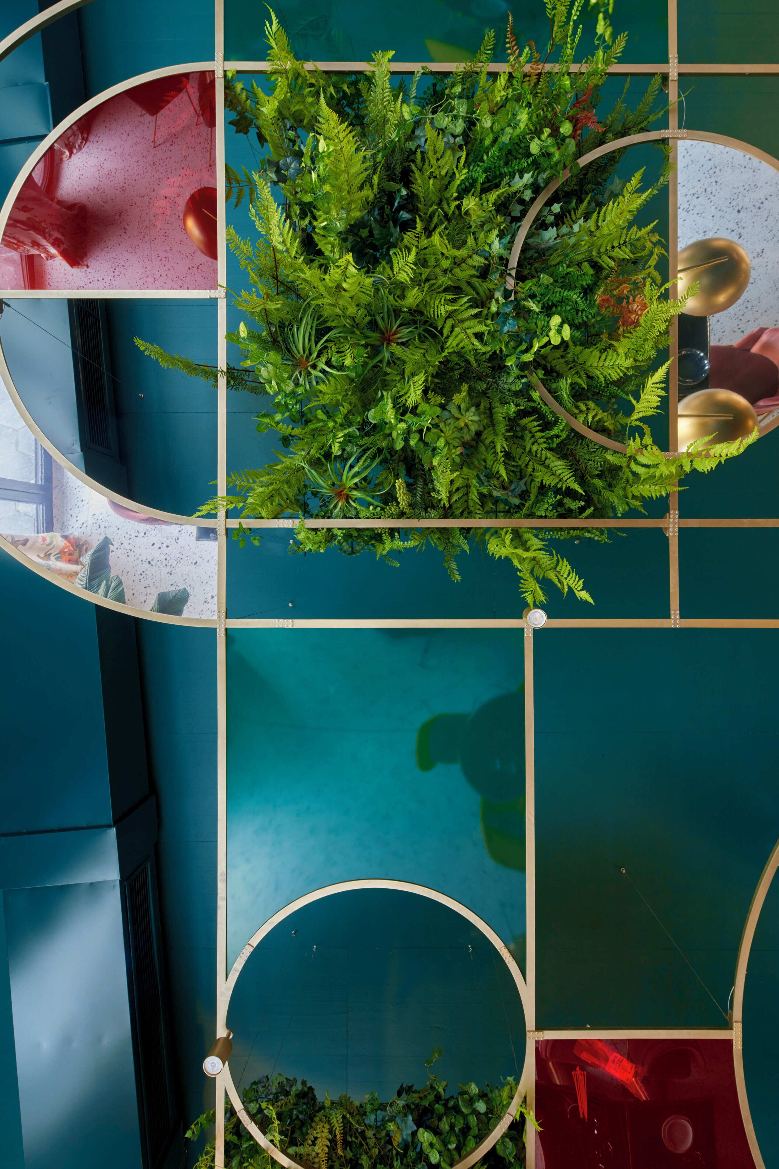 A top-down view of a room with a large green plant in a circular planter, a blue wall, and a window with a view of the outside.