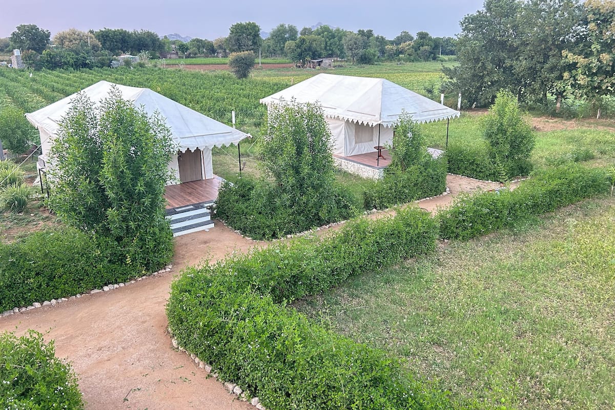 Tent, balkon, uitzicht op bergen | 1 slaapkamer, luxe beddengoed, donzen dekbedden, pillowtop-bedden