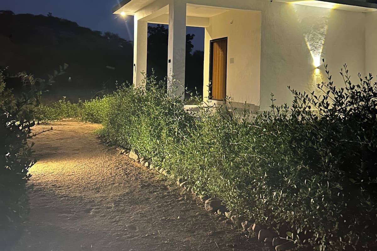 A modern house with a covered porch, a dirt pathway leading to the entrance, and surrounding greenery.