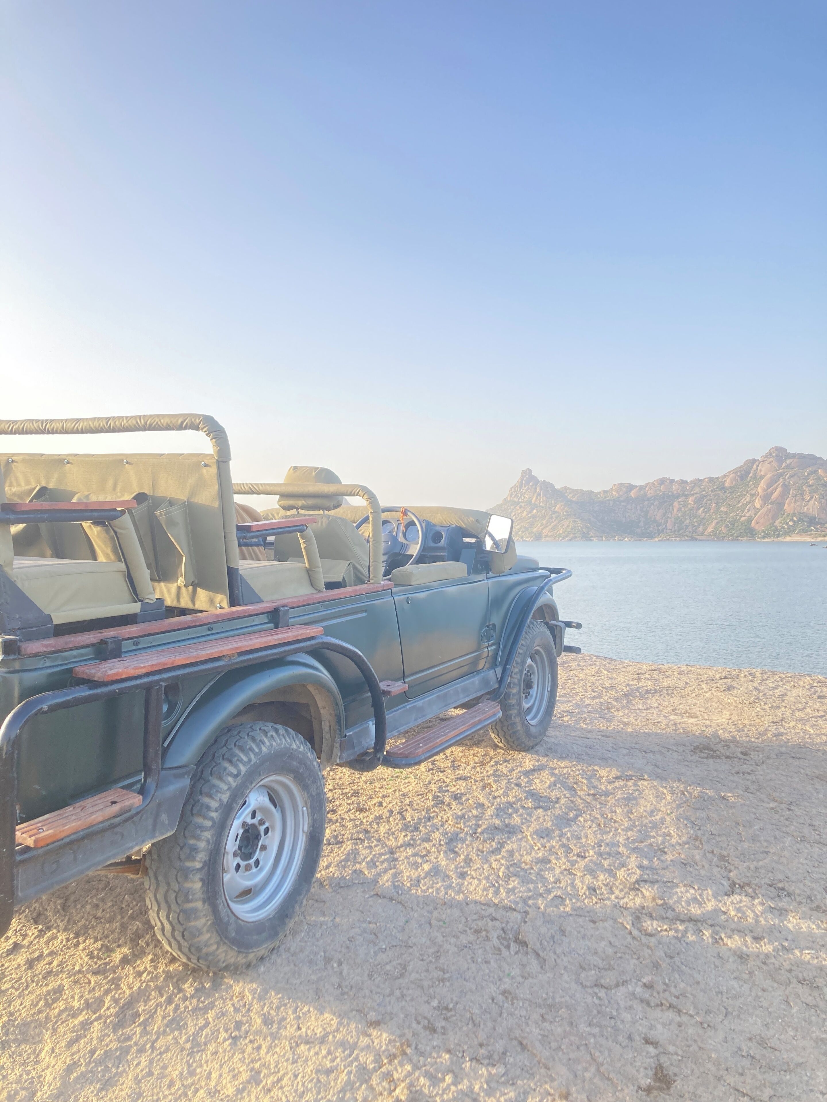 Safari
