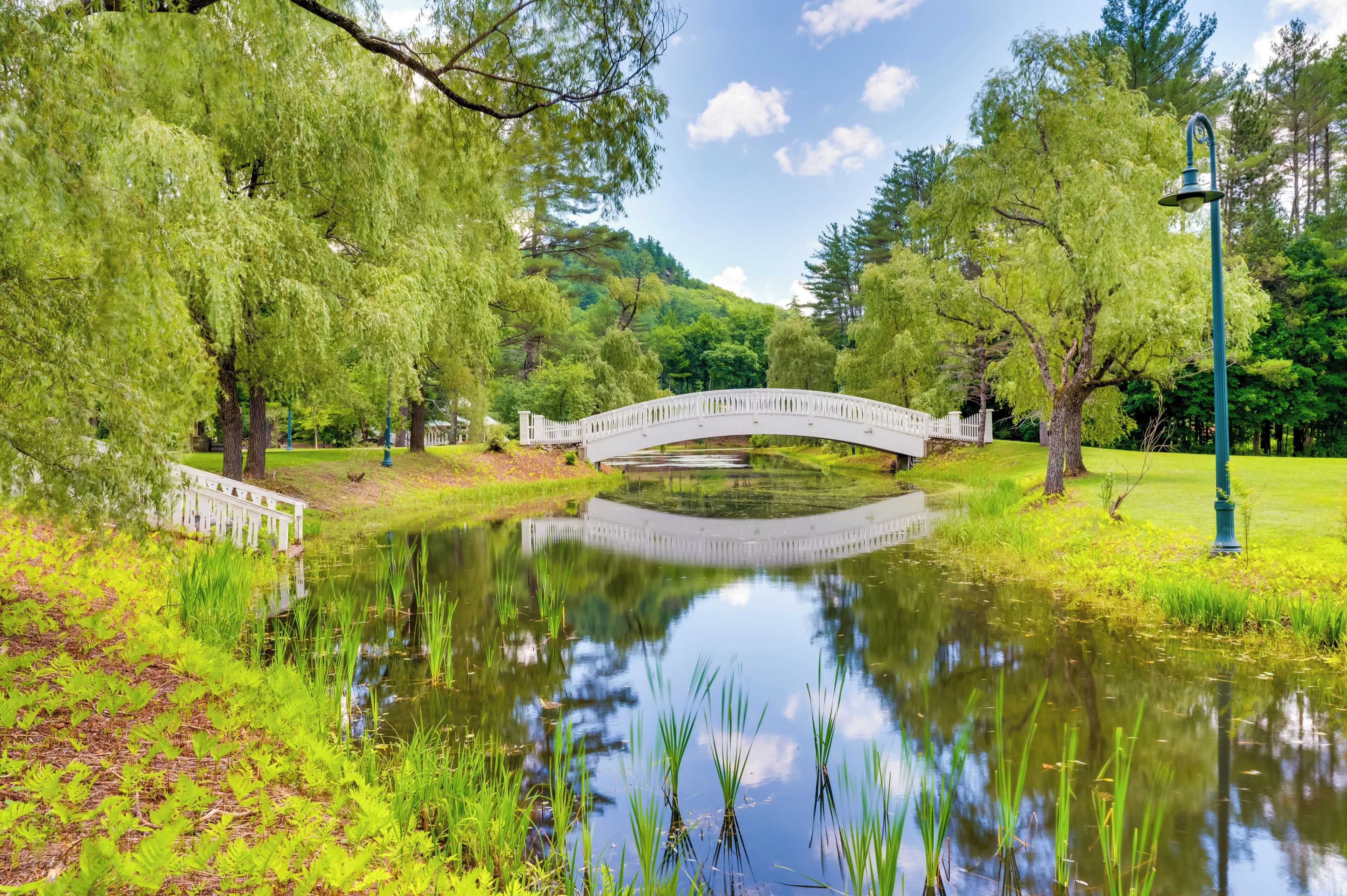 A serene park with a white bridge over a pond, surrounded by lush greenery and trees.