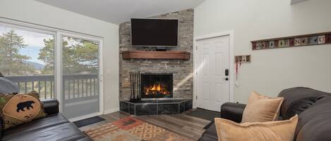 Télévision, cheminée, écrans d'ordinateur