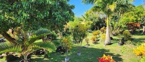 Jardines del alojamiento