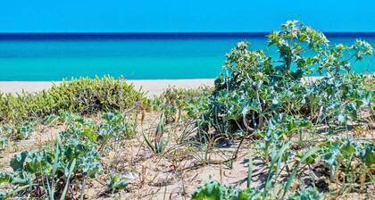 Apartment in Costa Rei Near White Sand Beaches