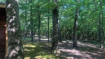 Área da propriedade