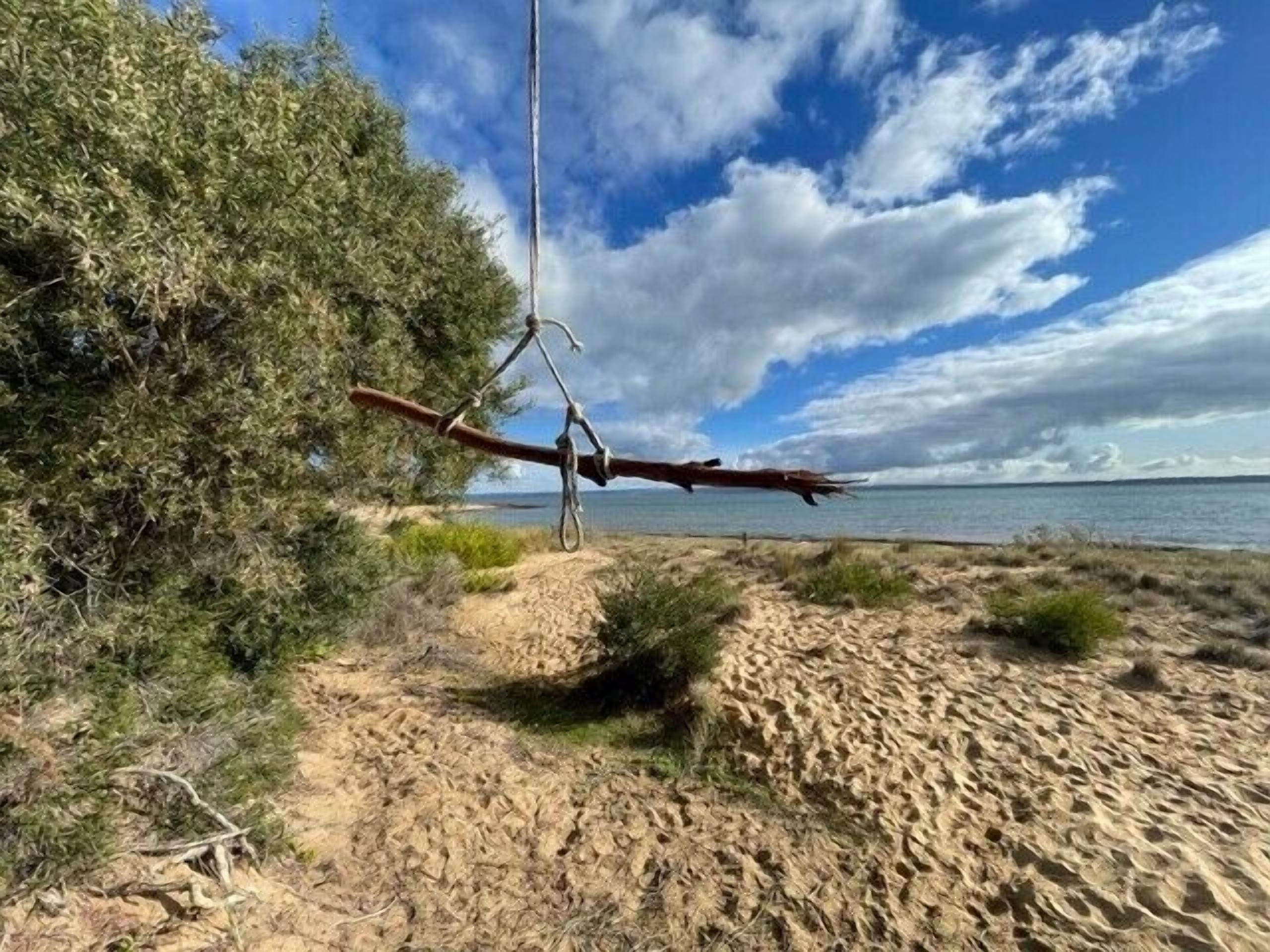 A beach with a swing hanging from a tree, sandy dunes, and a clear sky.