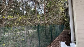 Cabin | Property grounds