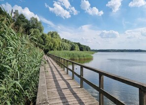 Bungalow | Blick von der Unterkunft