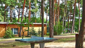 Una mesa de ping pong en un área boscosa, con un edificio de madera al fondo.