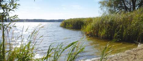 Ferienhaus | Blick von der Unterkunft