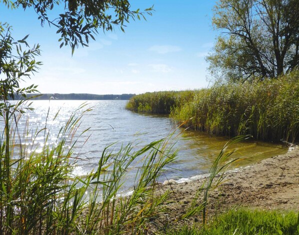 House | View from property - Holiday Home Zum Roten Adler in Storkow (Storkow)