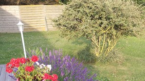 Une terrasse en bois ornée de plantes en pot disposées en rangée.