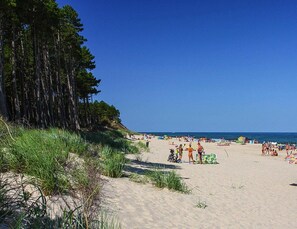 Una playa con gente, arena y árboles.