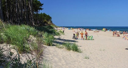 Holiday Homes, Attractions for Children