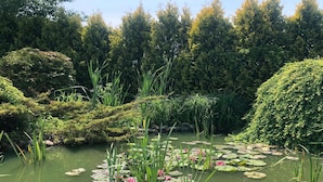 A serene pond surrounded by lush greenery and rocks. - Large Holiday Home by the Lake, Close to the sea (gmina Będzino)