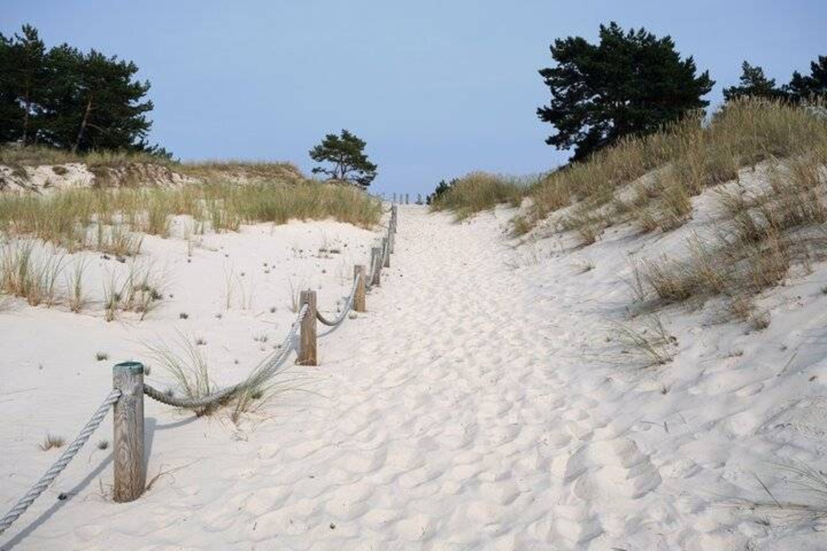 Uma trilha arenosa que leva a uma praia com vegetação rasteira e céu claro.
