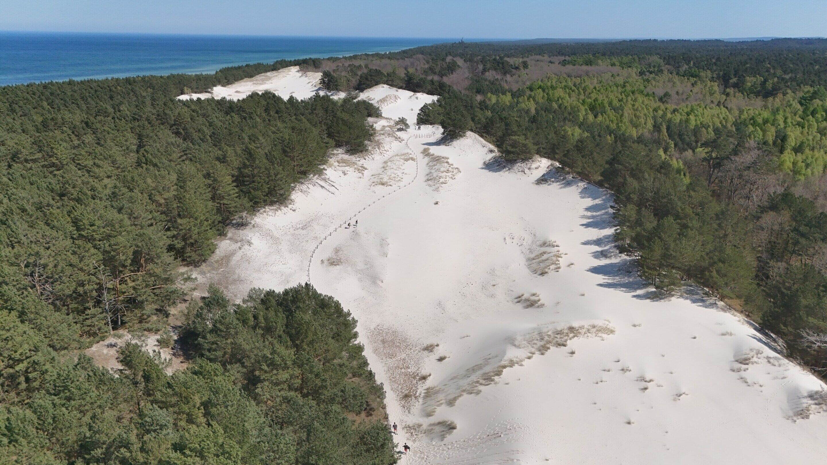 Vista aérea de una zona costera con una playa arenosa y un bosque denso.
