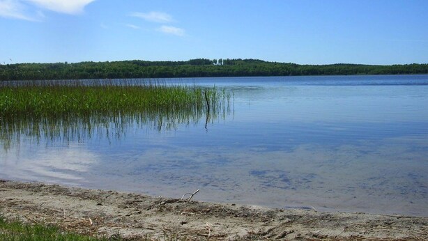 Un lago tranquilo con orilla arenosa y una colina boscosa al fondo.