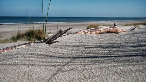 Ein sandiger Strand mit Treibholz und Gras.
