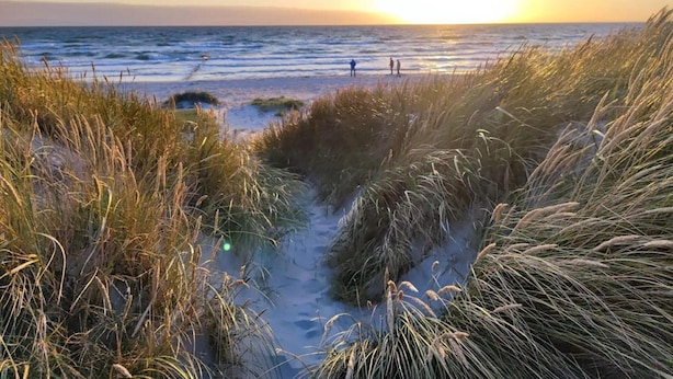 A beach path leading to the ocean with tall grasses on either side. - Appartements Post Hiddensee in Vitte (Hiddensee)