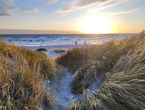 A beach path leading to the ocean with tall grasses on either side. - Appartements Post Hiddensee in Vitte (Hiddensee)