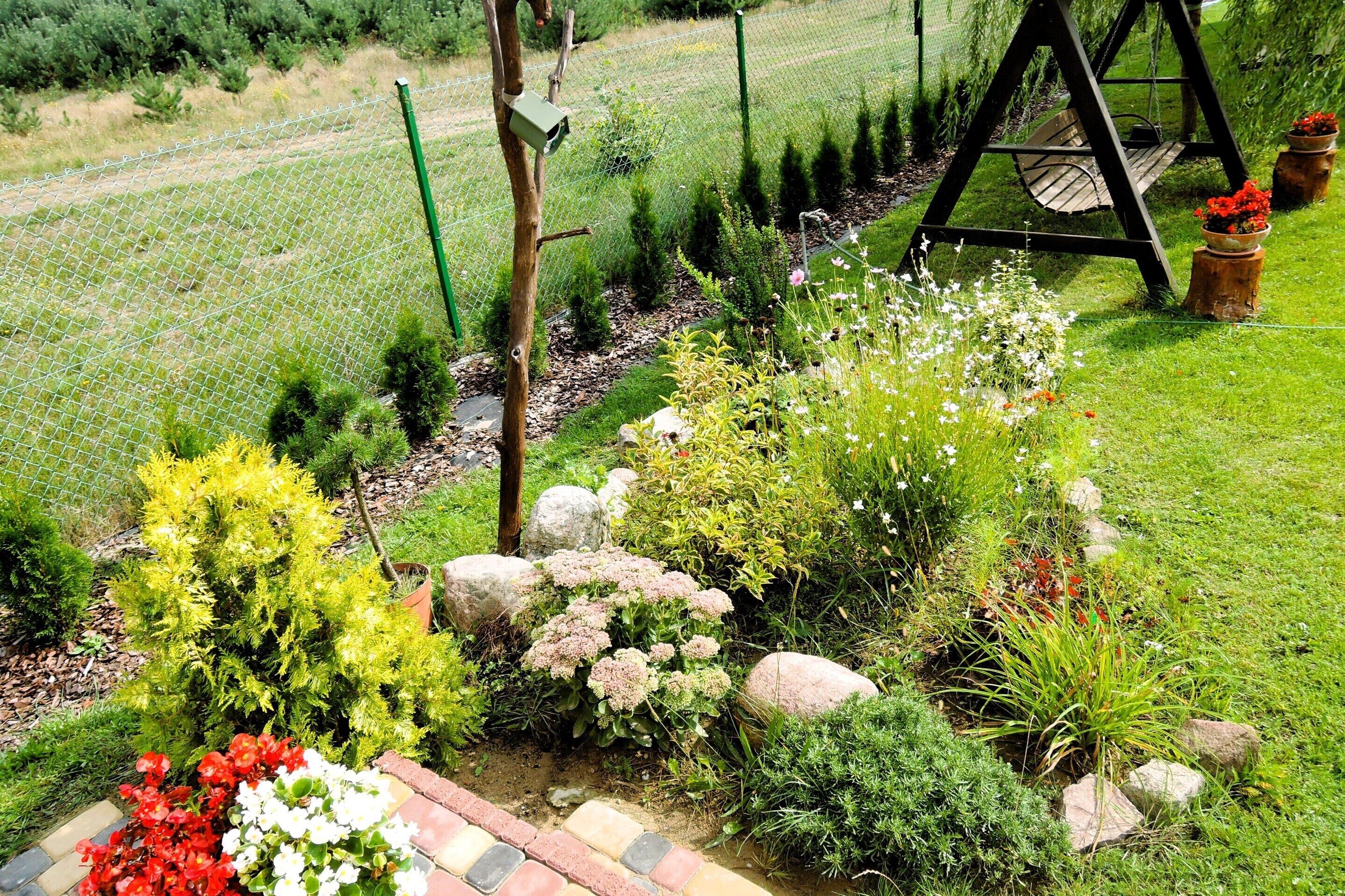 A garden with a swing set, a fenced area, and various plants.