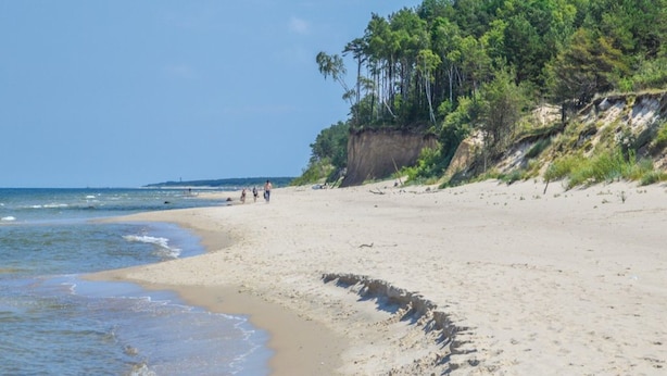 Una playa arenosa con cielo despejado, mar tranquilo y un acantilado cubierto de bosque.
