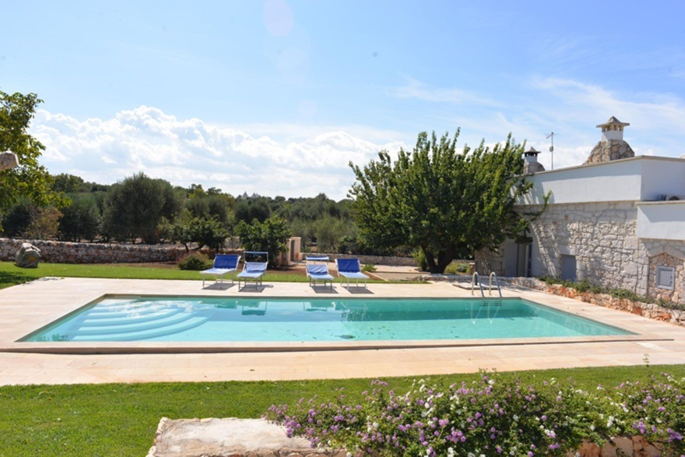 A rectangular swimming pool with a clear blue water surface, surrounded by a stone deck. There are several lounge chairs aligned parallel to the pool, and a large tree is visible in the background.