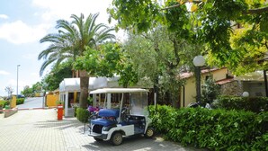 A golf cart parked on a paved area with a building entrance, palm trees, and a hedge in the background.