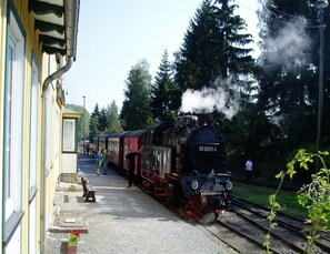 A steam locomotive numbered 99 6001-4 at a station with passengers boarding. - Doppelhaushalfte in Hasselfelde (Oberharz am Brocken)