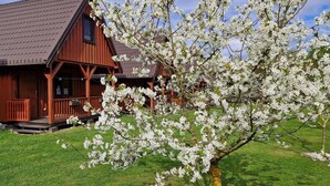 A wooden cabin with a porch and a tree with white blossoms in front. - Wooden House in Kolczewo Near Baltic Sea Beach (gmina Wolin)