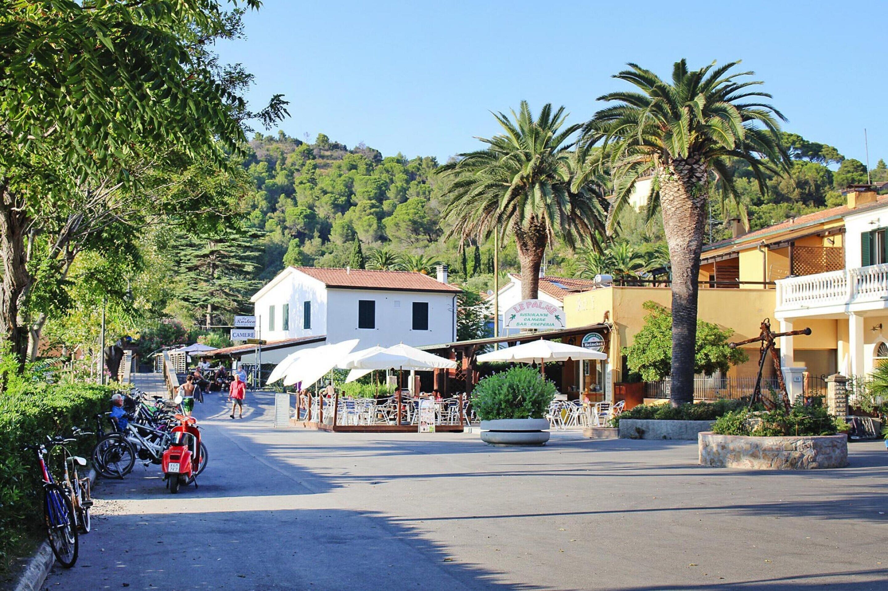 A street with outdoor seating, bicycles, and palm trees.