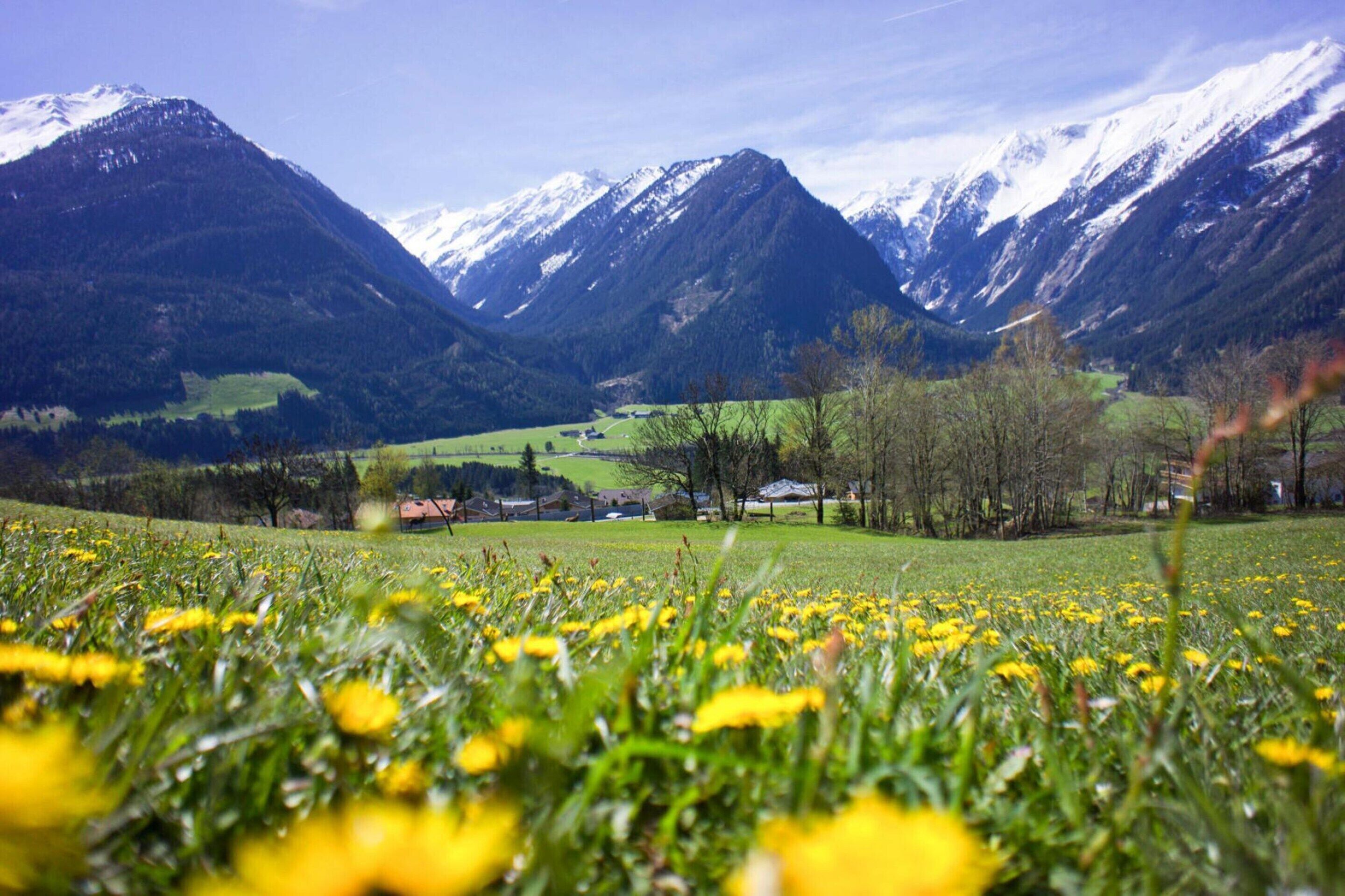 Eine Berglandschaft mit schneebedeckten Gipfeln, einem Tal mit grünen Feldern und vereinzelten Bäumen, sowie einige Gebäude in der Ferne.