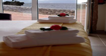 Small Cozy House in Santo Amaro