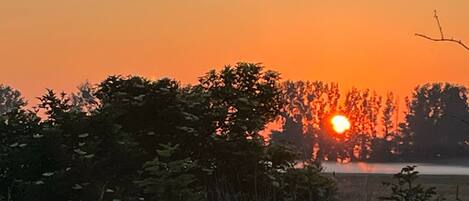 A sunset over a field with trees in the foreground.