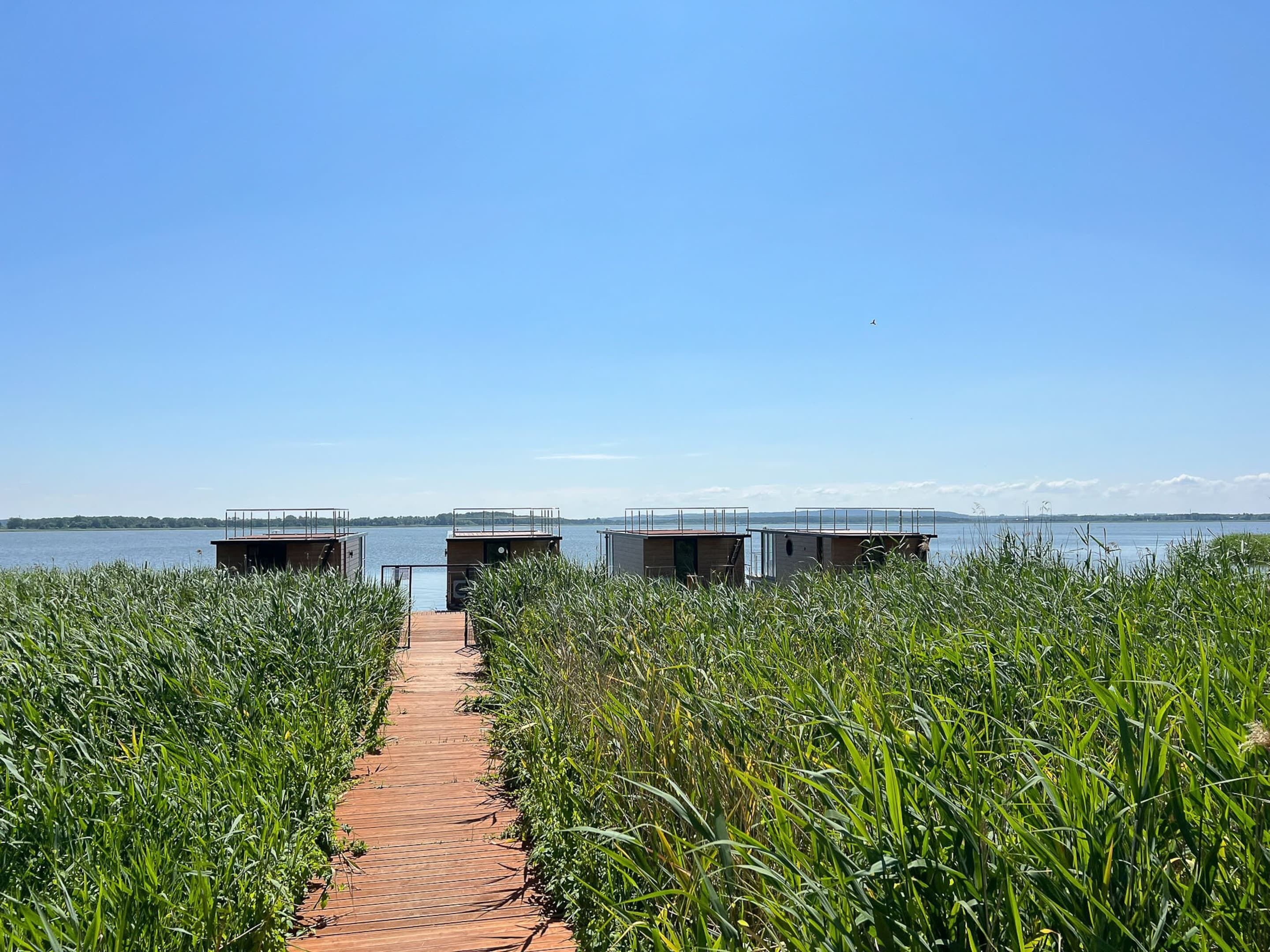 Un sendero de madera conduce a tres estructuras modernas y elevadas junto a un lago tranquilo, rodeado de abundante vegetación.